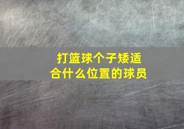 打篮球个子矮适合什么位置的球员