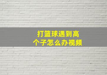 打篮球遇到高个子怎么办视频