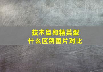 技术型和精英型什么区别图片对比