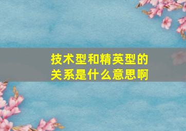 技术型和精英型的关系是什么意思啊