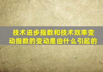 技术进步指数和技术效率变动指数的变动是由什么引起的