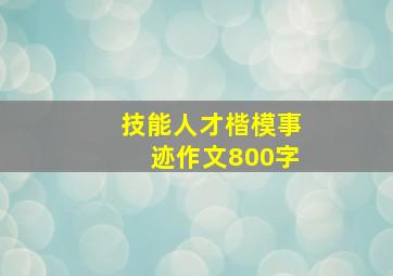 技能人才楷模事迹作文800字