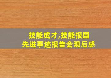 技能成才,技能报国先进事迹报告会观后感