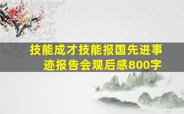 技能成才技能报国先进事迹报告会观后感800字