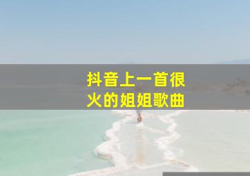 抖音上一首很火的姐姐歌曲