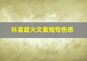 抖音超火文案短句伤感