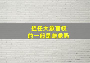 担任大象首领的一般是雌象吗