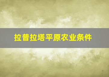 拉普拉塔平原农业条件