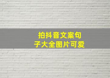 拍抖音文案句子大全图片可爱