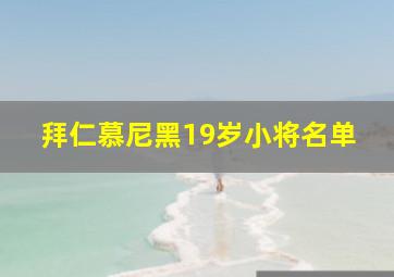 拜仁慕尼黑19岁小将名单