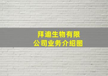 拜迪生物有限公司业务介绍图