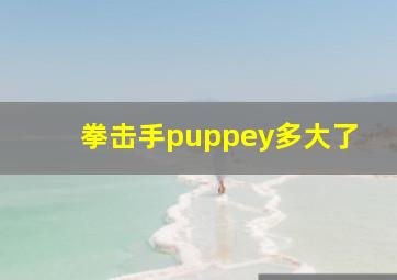 拳击手puppey多大了