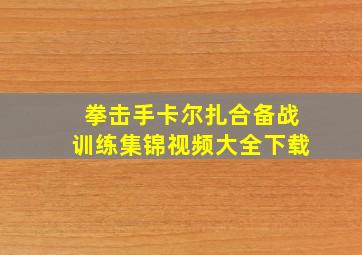 拳击手卡尔扎合备战训练集锦视频大全下载