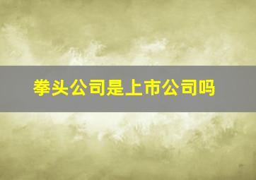 拳头公司是上市公司吗