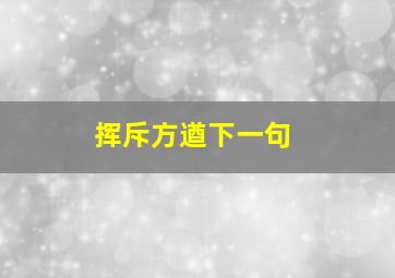 挥斥方遒下一句