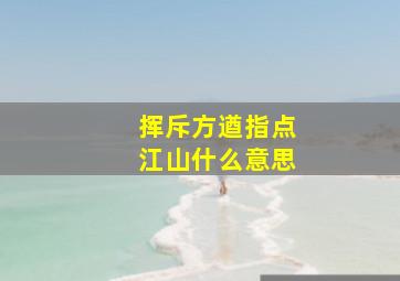 挥斥方遒指点江山什么意思