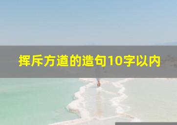 挥斥方遒的造句10字以内