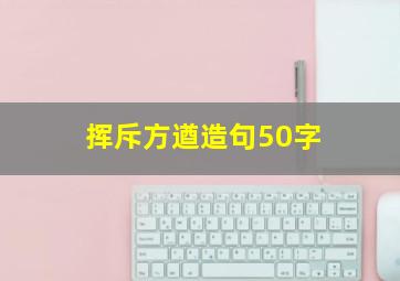 挥斥方遒造句50字