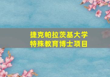 捷克帕拉茨基大学特殊教育博士项目