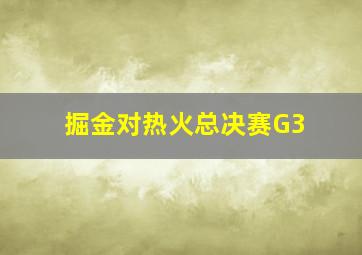 掘金对热火总决赛G3