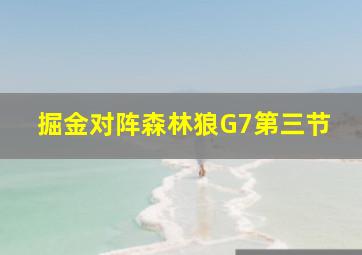 掘金对阵森林狼G7第三节