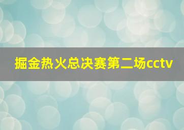 掘金热火总决赛第二场cctv