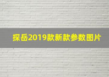 探岳2019款新款参数图片