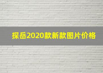 探岳2020款新款图片价格