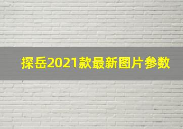 探岳2021款最新图片参数