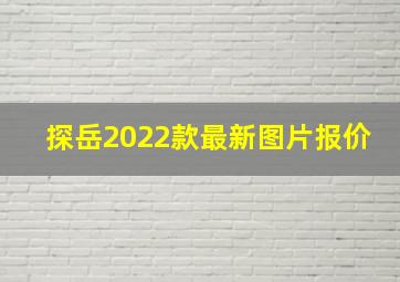 探岳2022款最新图片报价