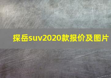 探岳suv2020款报价及图片