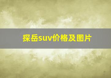 探岳suv价格及图片