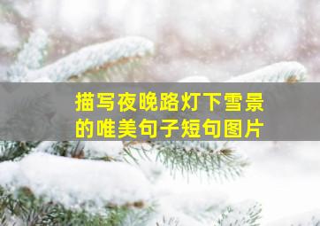 描写夜晚路灯下雪景的唯美句子短句图片