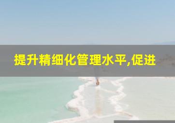 提升精细化管理水平,促进