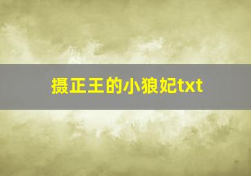 摄正王的小狼妃txt