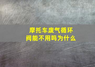 摩托车废气循环阀能不用吗为什么