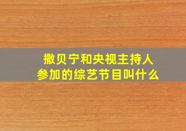 撒贝宁和央视主持人参加的综艺节目叫什么