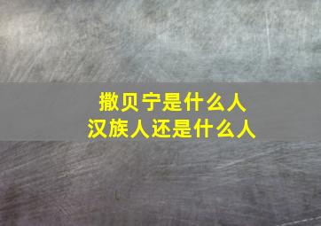 撒贝宁是什么人汉族人还是什么人