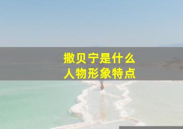 撒贝宁是什么人物形象特点