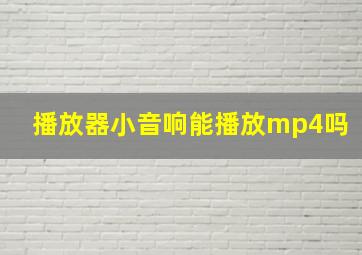 播放器小音响能播放mp4吗