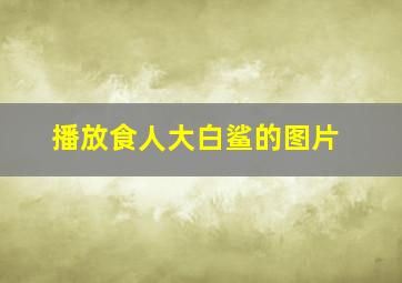 播放食人大白鲨的图片