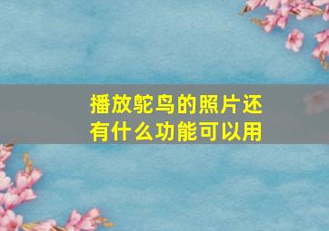 播放鸵鸟的照片还有什么功能可以用