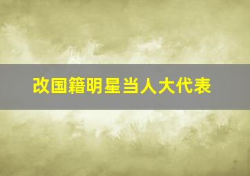 改国籍明星当人大代表