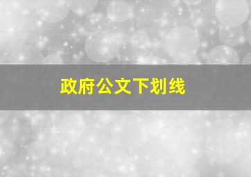 政府公文下划线