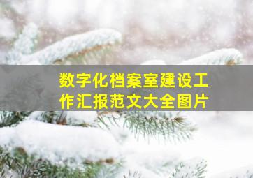 数字化档案室建设工作汇报范文大全图片