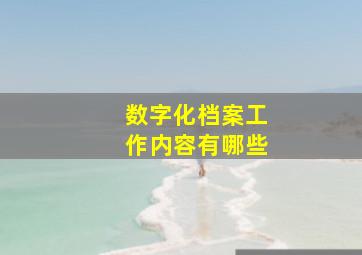 数字化档案工作内容有哪些