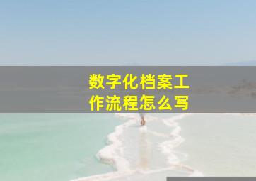 数字化档案工作流程怎么写