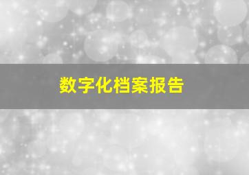 数字化档案报告