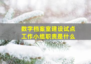 数字档案室建设试点工作小组职责是什么