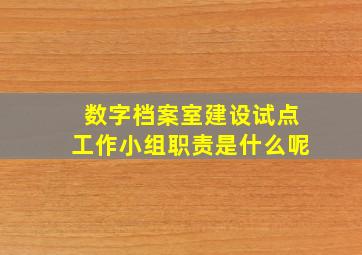 数字档案室建设试点工作小组职责是什么呢